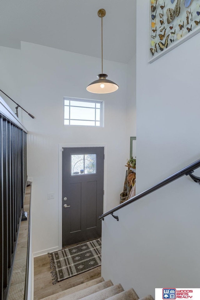 foyer entrance featuring hardwood / wood-style floors and a high ceiling