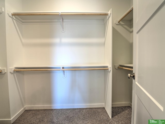 walk in closet featuring carpet