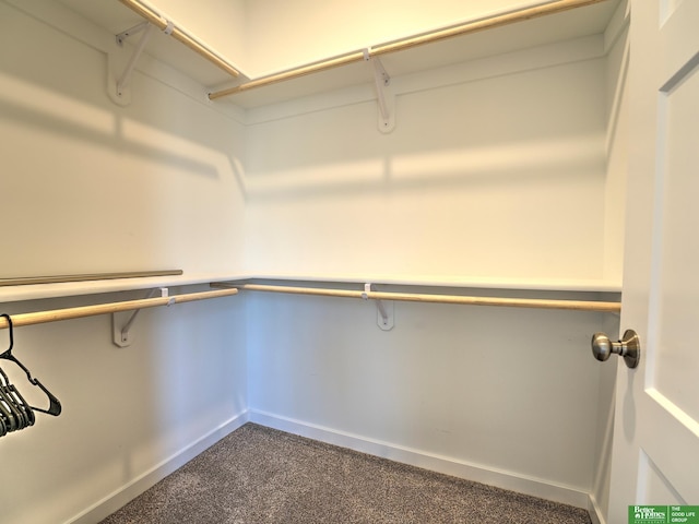 walk in closet with dark colored carpet