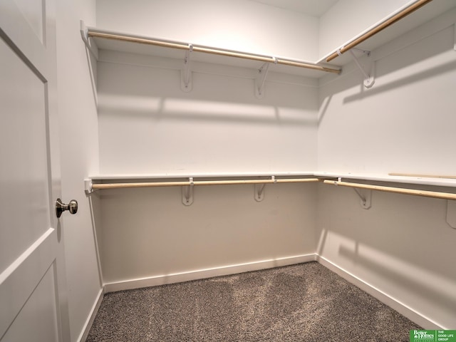 spacious closet with carpet