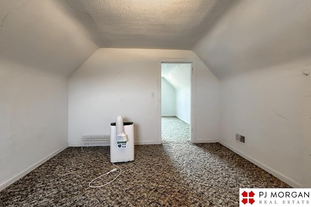 additional living space featuring a textured ceiling, vaulted ceiling, and carpet floors