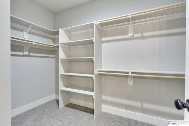 spacious closet with light carpet