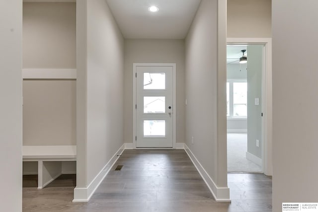 doorway featuring hardwood / wood-style flooring, a healthy amount of sunlight, and ceiling fan