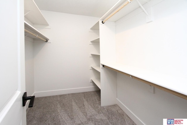 spacious closet featuring light carpet