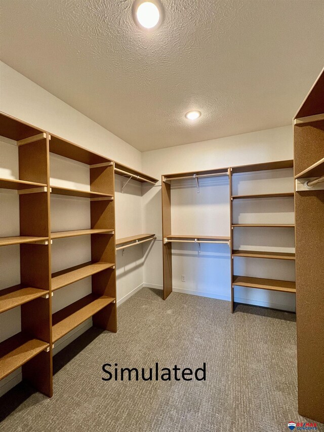 walk in closet featuring carpet