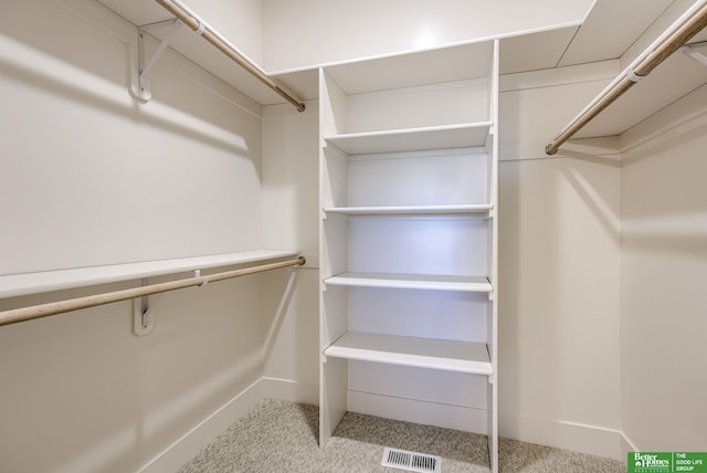 spacious closet with light colored carpet