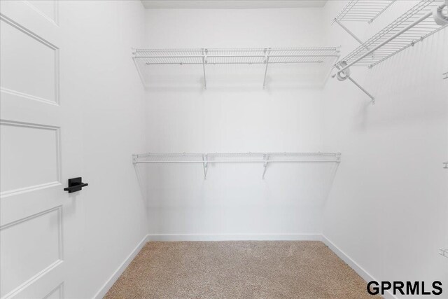 216 St Andrews Loop, Malvern, IA 51551 - walk in closet with carpet flooring
