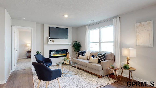 living room featuring wood-type flooring and a textured ceiling