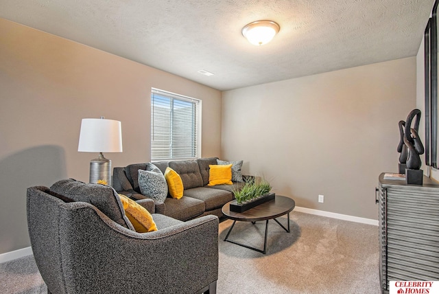 living room featuring carpet floors and a textured ceiling