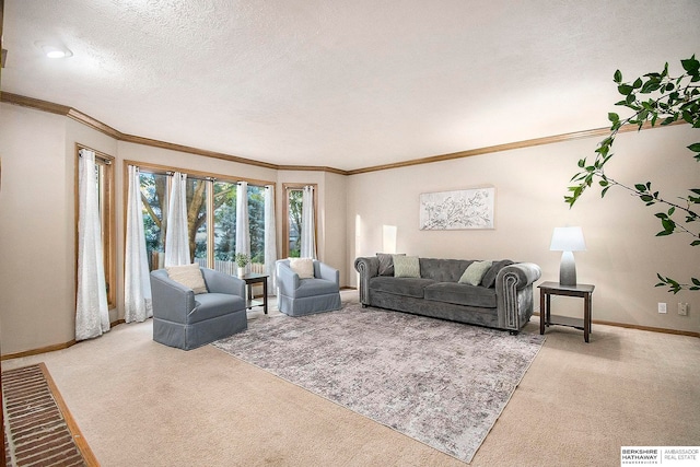 carpeted living room featuring a textured ceiling and crown molding