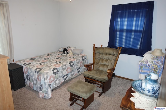 view of carpeted bedroom