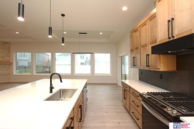 kitchen featuring light wood-type flooring, hanging light fixtures, sink, and stainless steel appliances