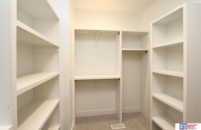 spacious closet with carpet floors