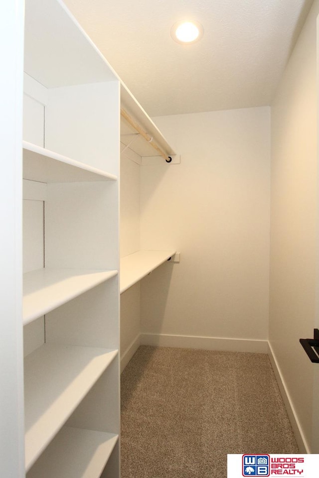 spacious closet featuring carpet