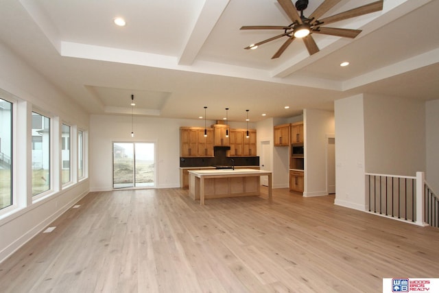 kitchen featuring light hardwood / wood-style flooring, a center island, and a tray ceiling