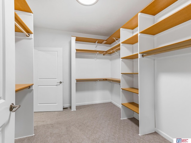 spacious closet featuring light carpet