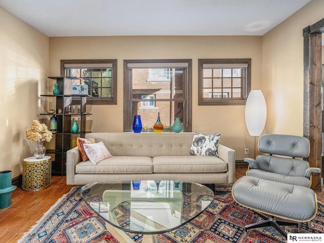 living room with hardwood / wood-style flooring