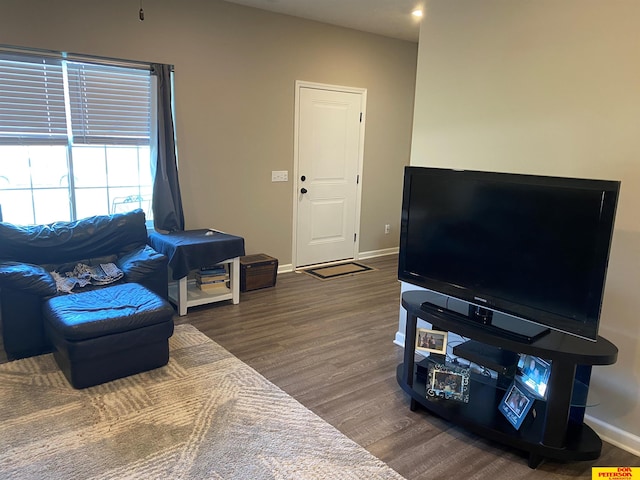 living room featuring dark wood-type flooring