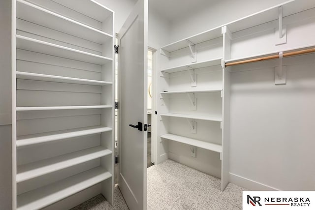 spacious closet featuring light carpet