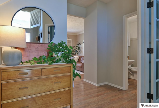 hallway with ornamental molding, light hardwood / wood-style floors, and a textured ceiling