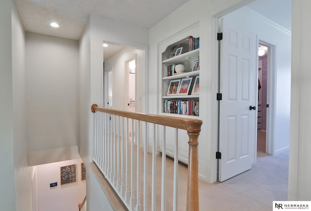 hall featuring light colored carpet, built in features, and ornamental molding