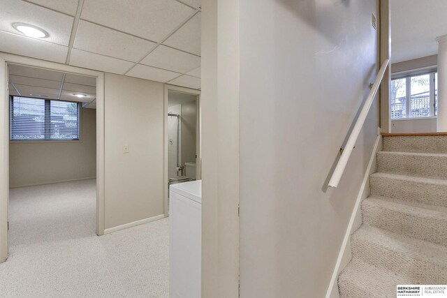 staircase with a paneled ceiling and carpet floors