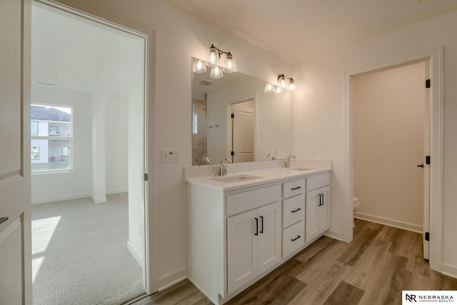 bathroom with vanity, toilet, and wood-type flooring