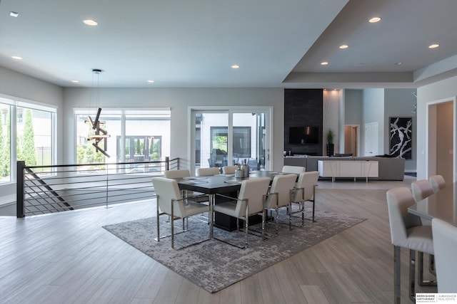 dining area with wood-type flooring