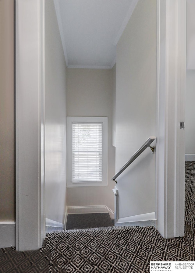 staircase featuring ornamental molding