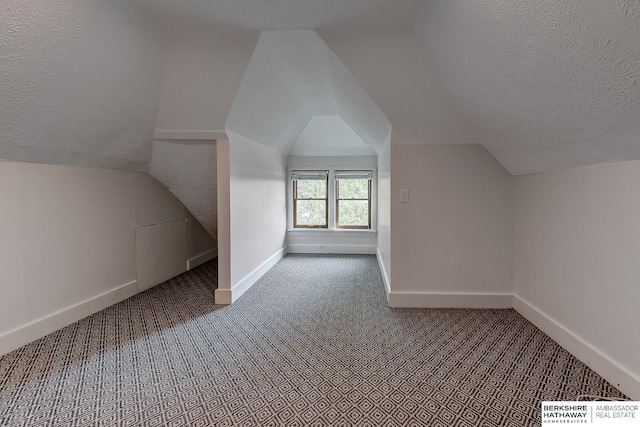 additional living space featuring carpet floors, a textured ceiling, and vaulted ceiling