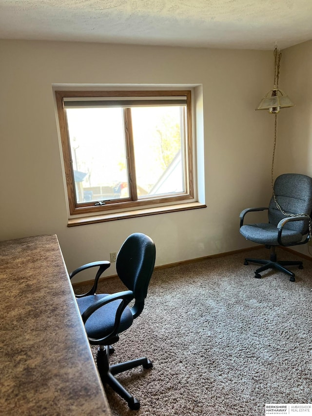 home office featuring carpet floors and a textured ceiling