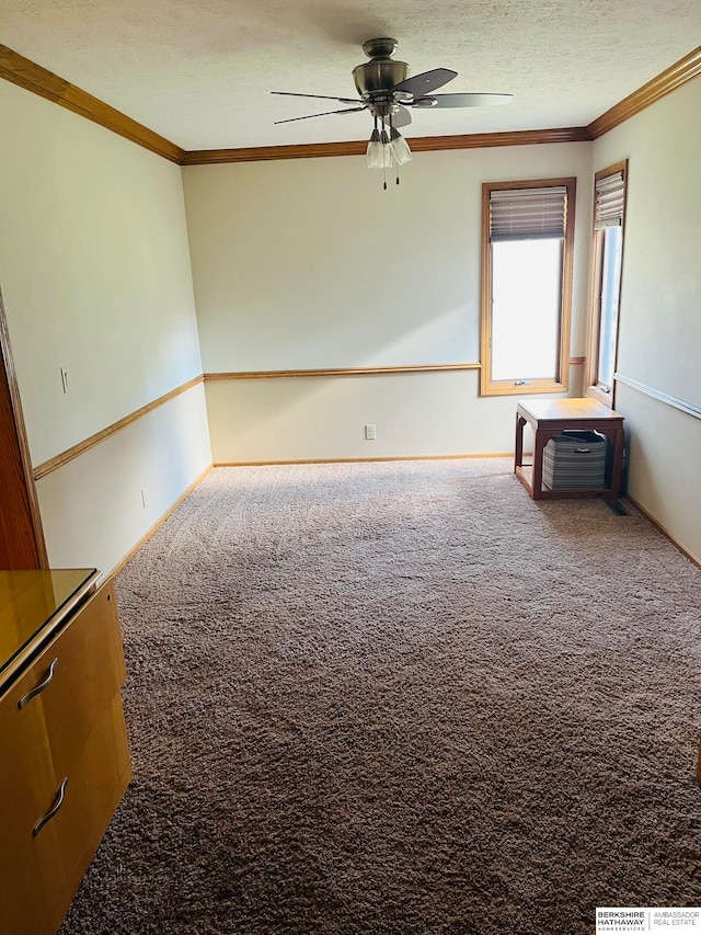 unfurnished room with carpet, a textured ceiling, ceiling fan, and crown molding