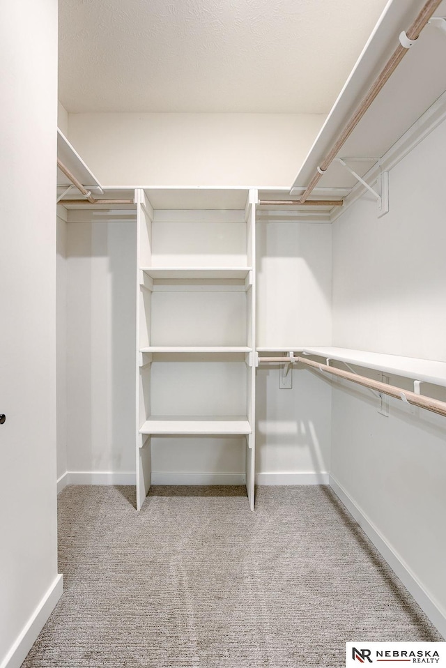 walk in closet with carpet floors