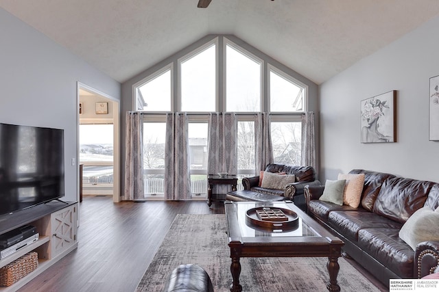 living room with lofted ceiling, radiator heating unit, and dark hardwood / wood-style floors