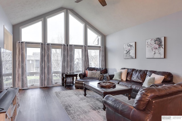 living room with ceiling fan, dark hardwood / wood-style flooring, and vaulted ceiling