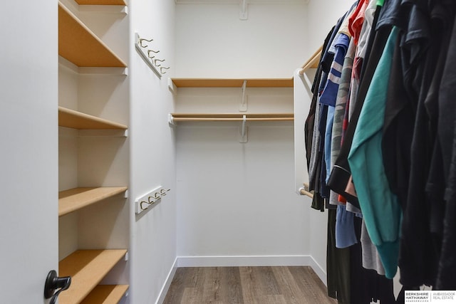 walk in closet with hardwood / wood-style flooring