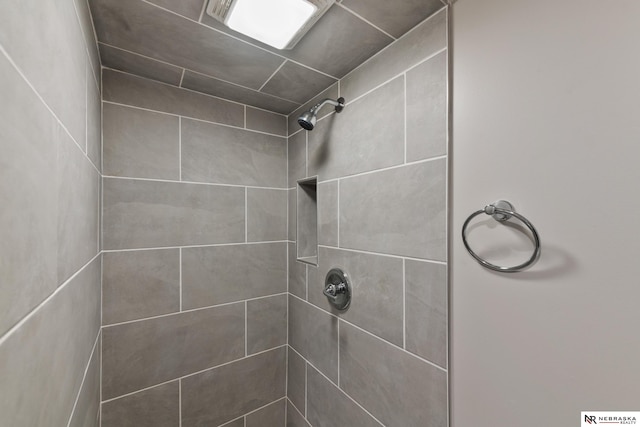 room details with tiled shower