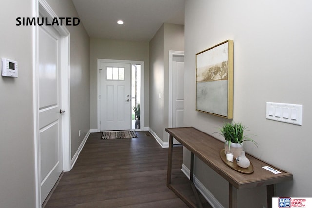 foyer with dark wood-type flooring