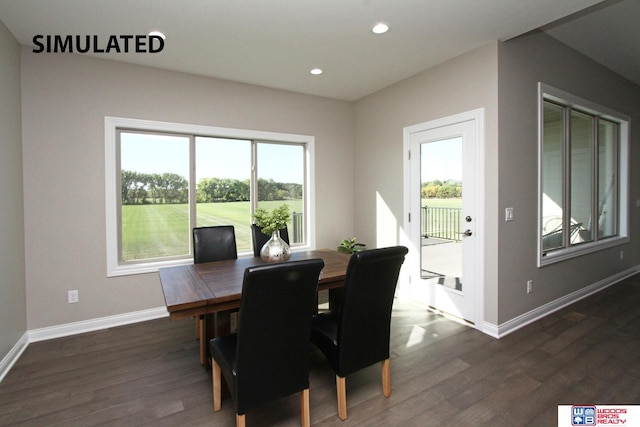 dining space with dark hardwood / wood-style flooring