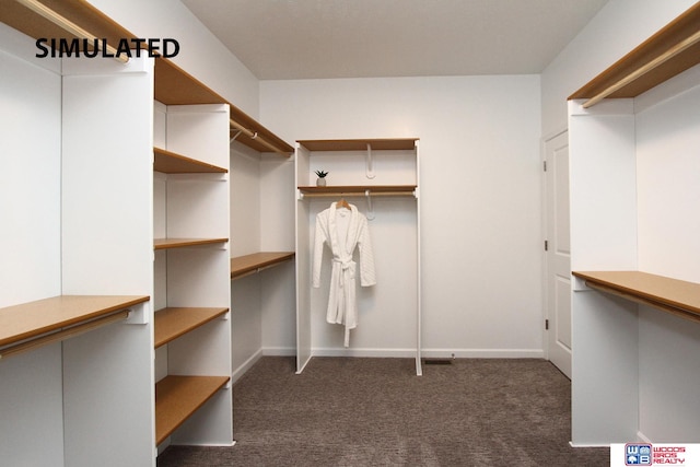 spacious closet with dark carpet