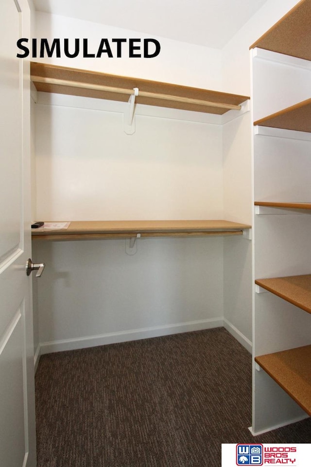 spacious closet with dark colored carpet