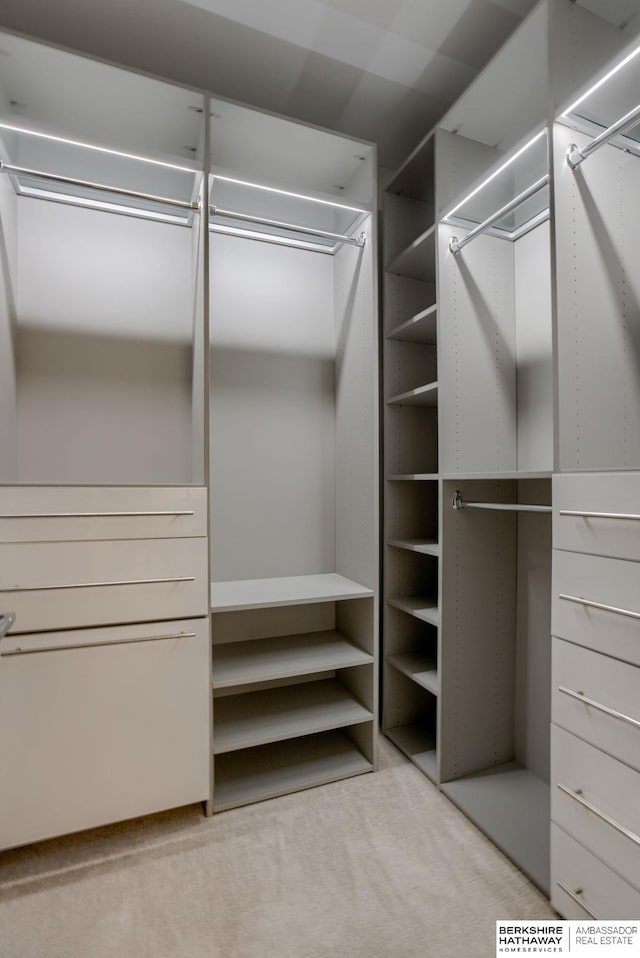 spacious closet featuring carpet floors