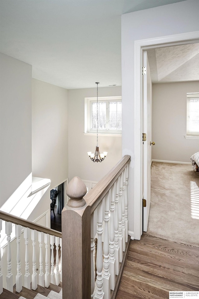 staircase with a wealth of natural light, wood-type flooring, and an inviting chandelier