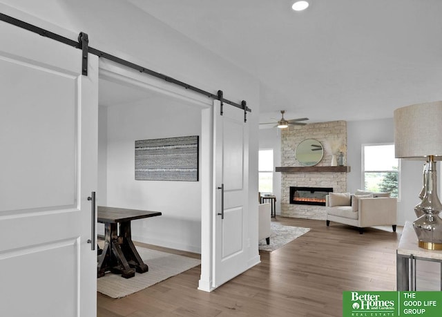 living room featuring a stone fireplace, ceiling fan, and wood-type flooring