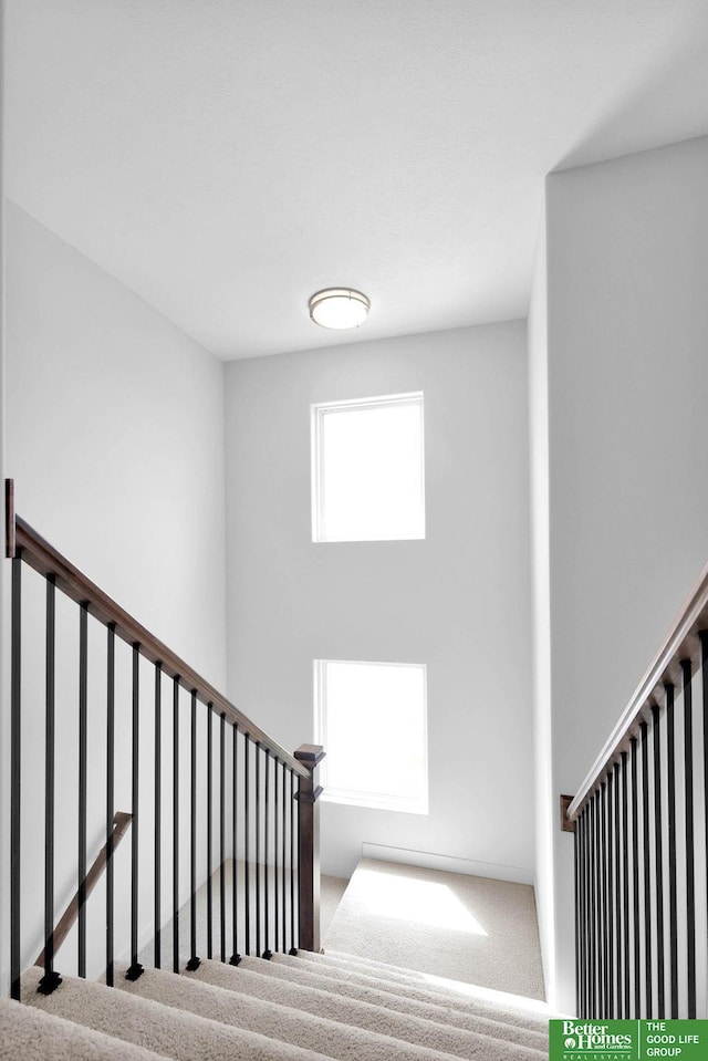 stairs featuring carpet floors