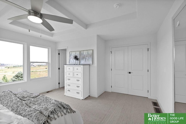11018 N 161st St, Bennington, NE 68007 - bedroom with light colored carpet, a raised ceiling, ceiling fan, and a closet