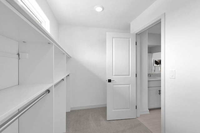 11018 N 161st St, Bennington, NE 68007 - spacious closet featuring light carpet and a sink