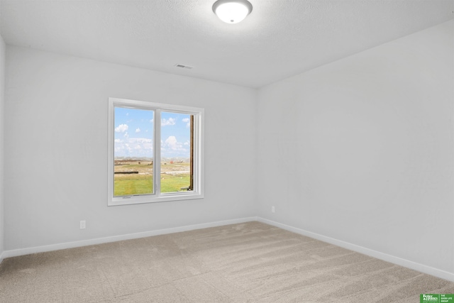 empty room featuring light carpet and a textured ceiling