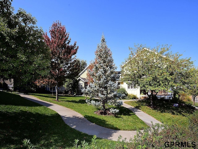 view of home's community with a yard