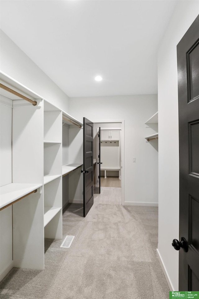 walk in closet with light colored carpet